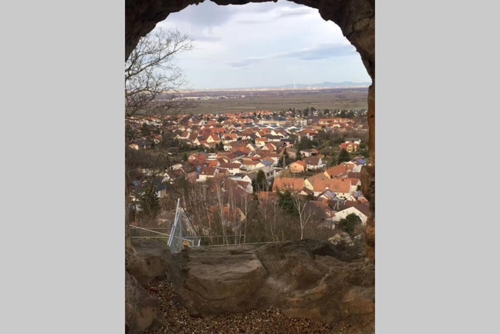 Wunderschoene Wohnung Mit Blick Auf Die Weinberge Neustadt an der Weinstraße 外观 照片