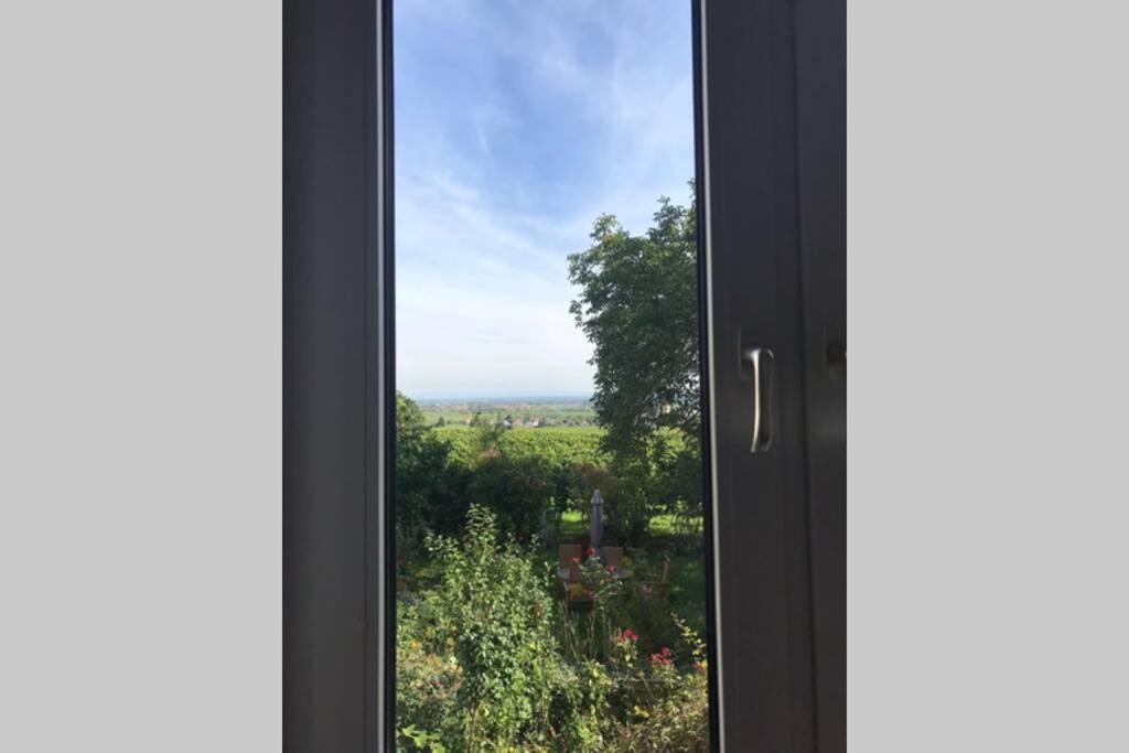 Wunderschoene Wohnung Mit Blick Auf Die Weinberge Neustadt an der Weinstraße 外观 照片
